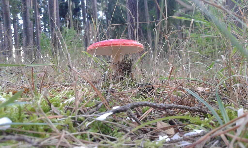 Wiejska Chata Szwalk Exteriör bild
