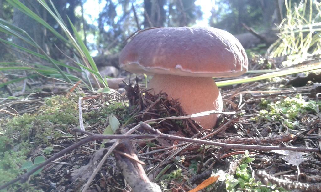 Wiejska Chata Szwalk Exteriör bild